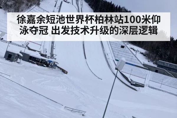 徐嘉余短池世界杯柏林站100米仰泳夺冠 出发技术升级的深层逻辑